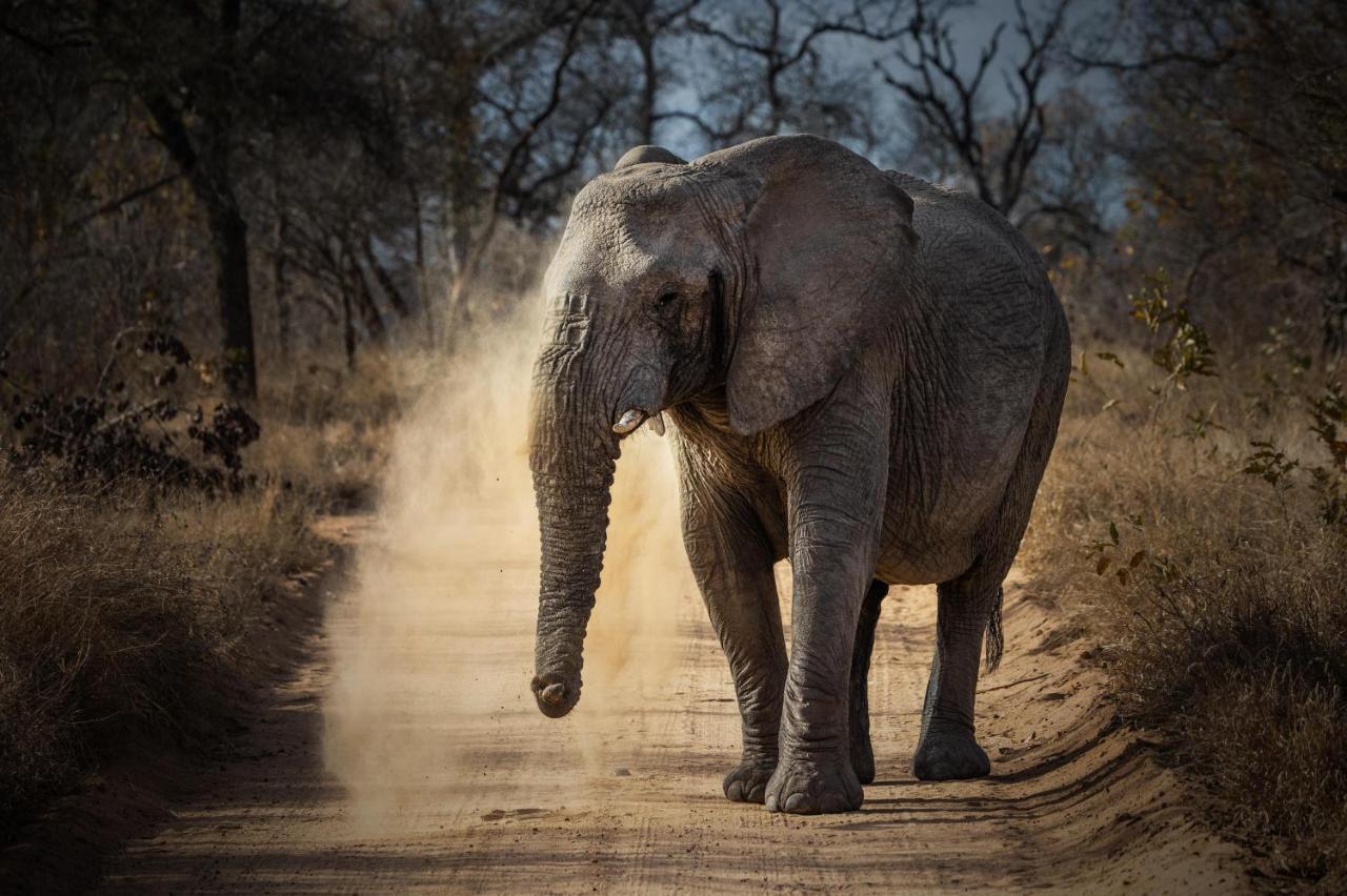 Kapama River Lodge Kapama Game Reserve Екстериор снимка